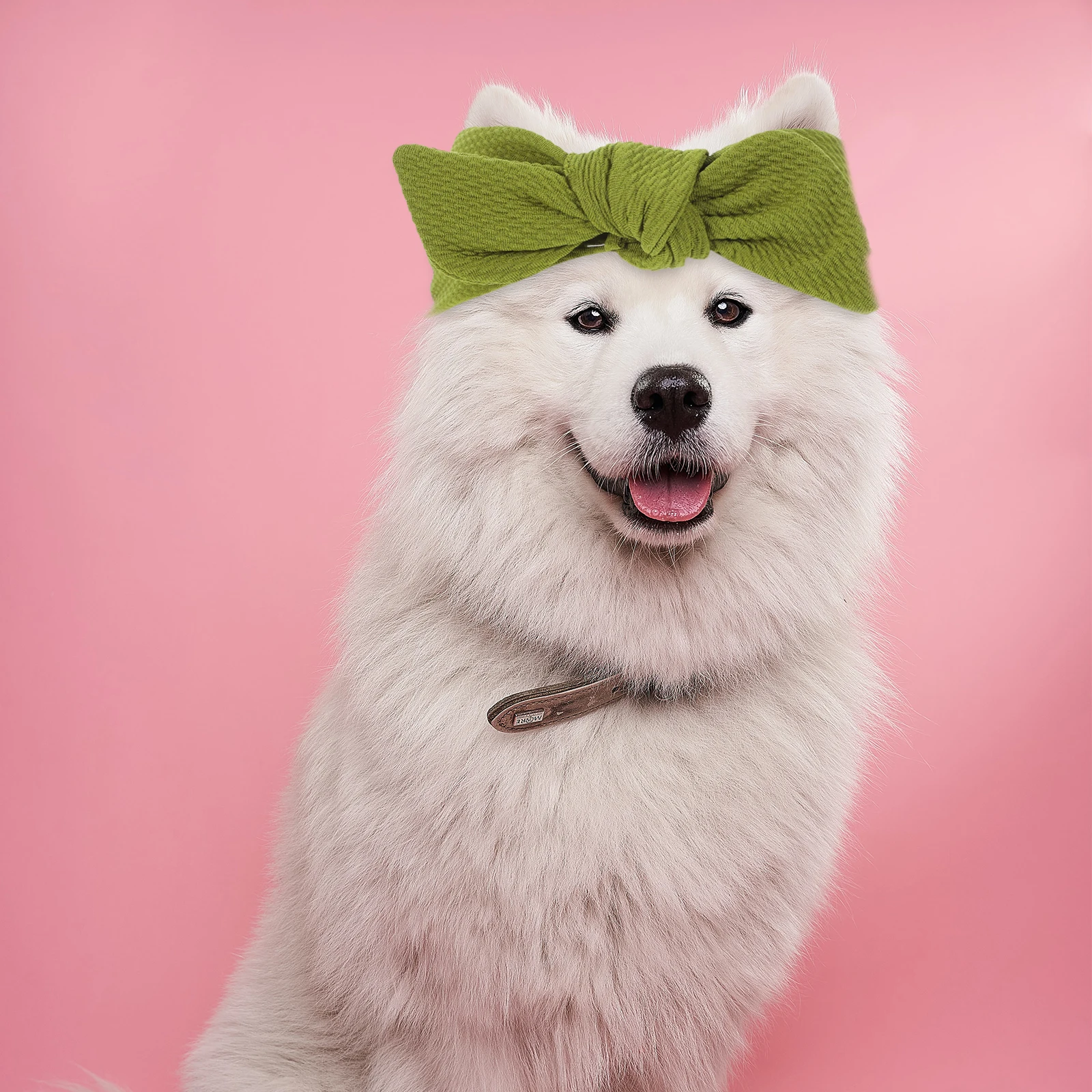 

2pcs Pet Hair Bows Cute Dog Headband Stretchy Bowknot Headdress For Puppy Festival Party Accessories Small Dog Grooming