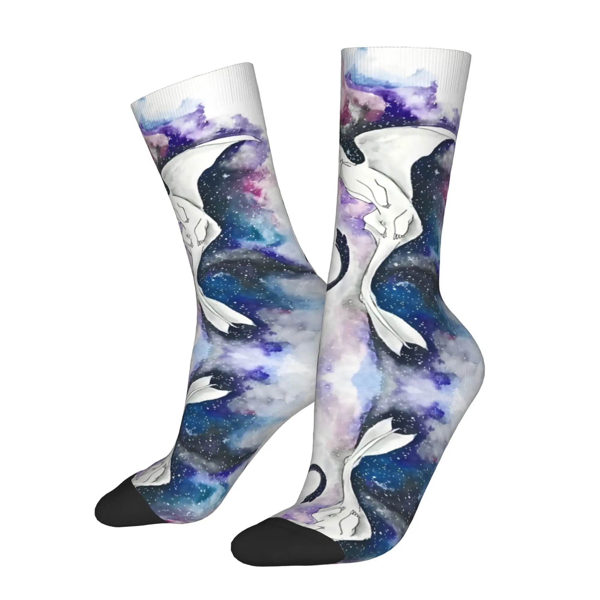 

Dragon Knight, милые анимационные велосипедные носки для мужчин, влажная новинка, всесезонные спортивные носки