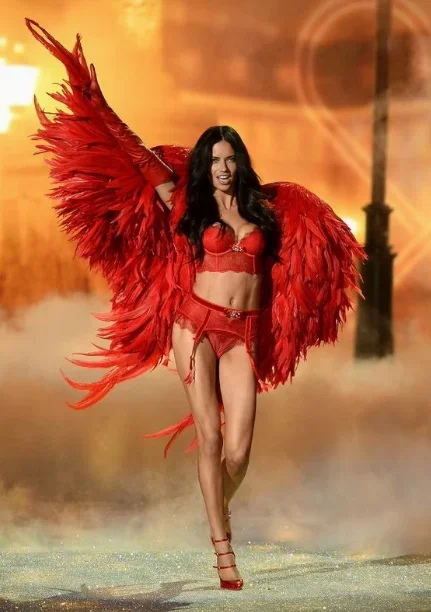 Red Feathered Wings Stage Performance Props  Showcase Photography Props Oversized Performance Wedding Party