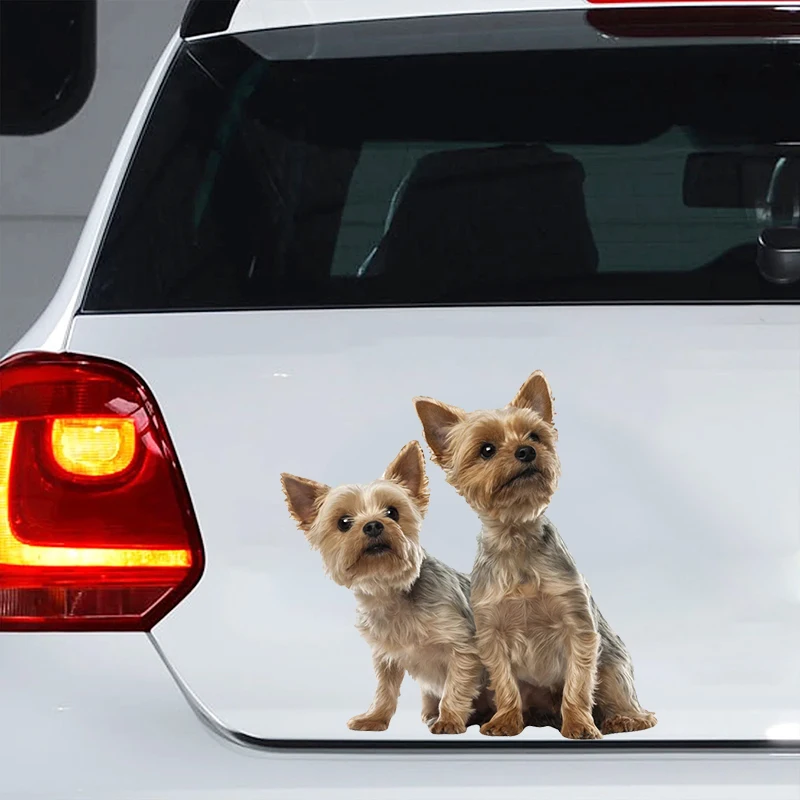 

Car Sticker Yorkshire Terrier Dog Pet Animal Waterproof Vinyl Decal Car Accessories Decor Pegatinas Para Coche #V1378
