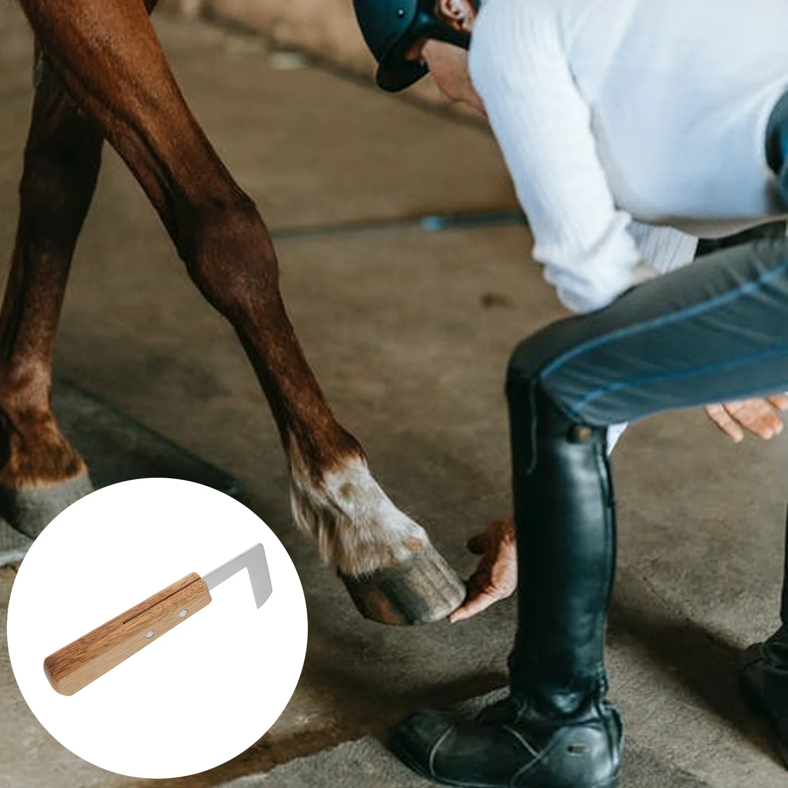

Stainless Steel Hoof Trimming Tool Cattle Sheep Goats Non-Slip Handle Portable Animal Foot Pruning Tool Equestrian