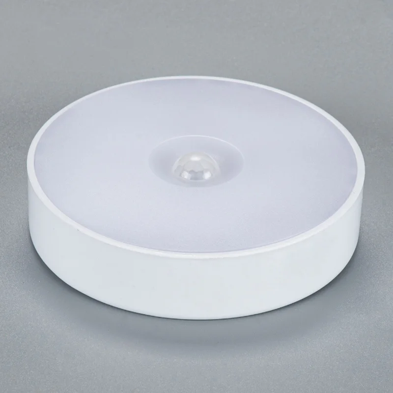 Night light LED Ceiling Lamp With Motion Sensor Corridor Bedroom Toilet Lights lamp Human Body Induction