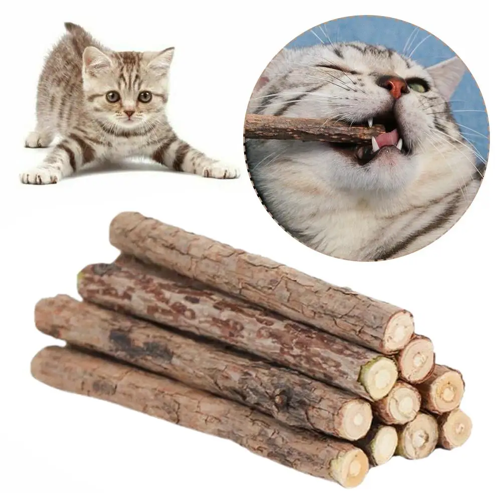 Matatabi Natural gato hierba gatera juguete gatito Molar masticar palo limpieza de mascotas dientes gato tratar juguete Actinidia Silvervine productos para mascotas