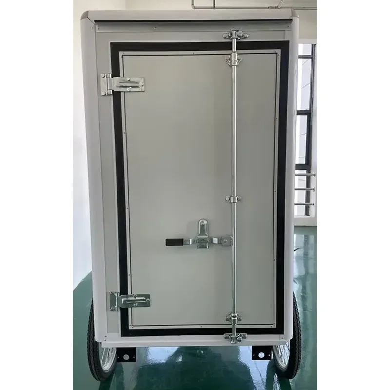 Adult 3 Wheel Electric Cargo Bike Heavy Duty Tricycle with Storage Case 6 Speed Gear Fast Shipping Hot Sale for Delivery