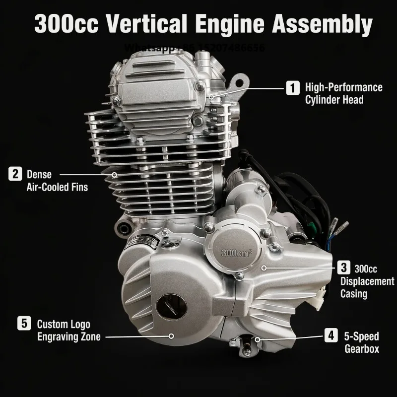 300cc CBF300 Air-Cooled Single Cylinder for CQR Bike Factory