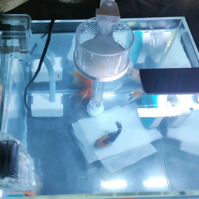 Thumbnail 3 - #19 Aquarium Overflow Boxes List of Top Picks