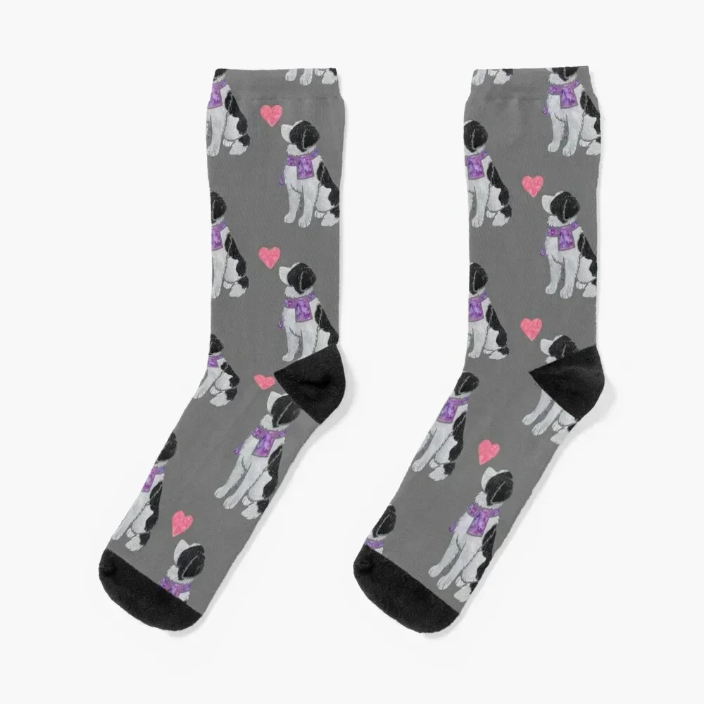 Watercolour Landseer (Newfoundland) dog Socks set luxury Man Socks Women's