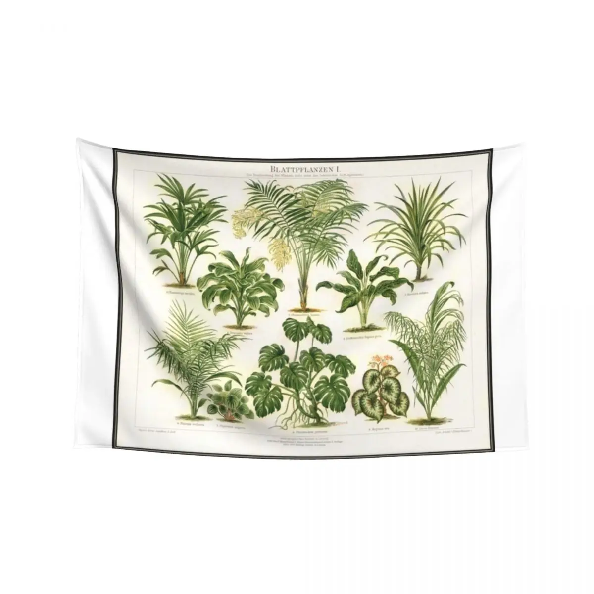 

Vintage tropical plants Tapestry Bed Room Decoration Room Decor For Girls Room Decorations Aesthetic Wallpaper Tapestry