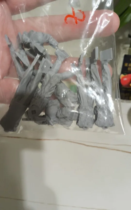 Buyer photo of this resin kit