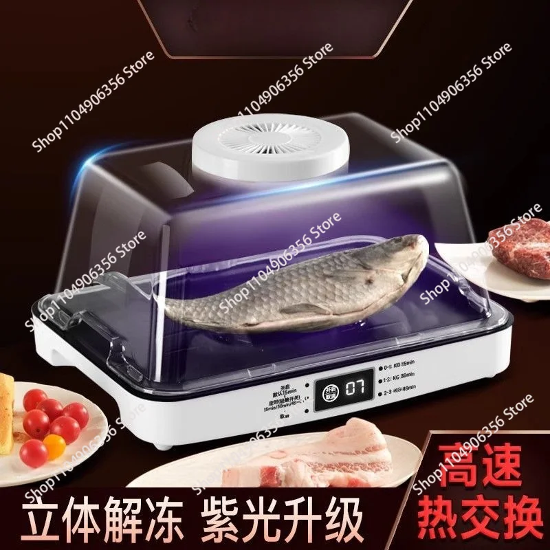 Household Multifunctional Thawing Tray, Large Capacity Constant Temperature Defrosting Tool for Steak & Frozen Meat