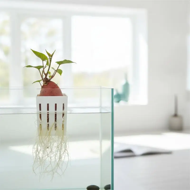 Burr-Free Aquatic Plant Planting Basket 1Pcs Safe Fish-Friendly Hydroponic Cup for Home Fish Tank Decoration
