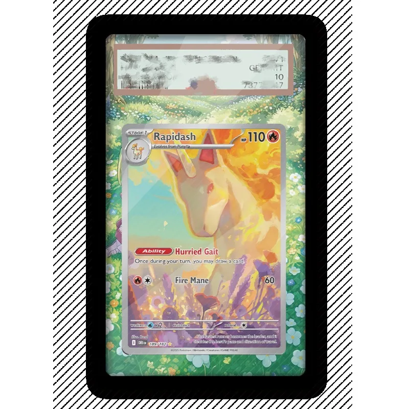 Art Display for Pokemon Rapidash Card PTCG Keychain Anime Game Collectibles Anime Merchandise Acrylic Protective Case Toys Gift view 4