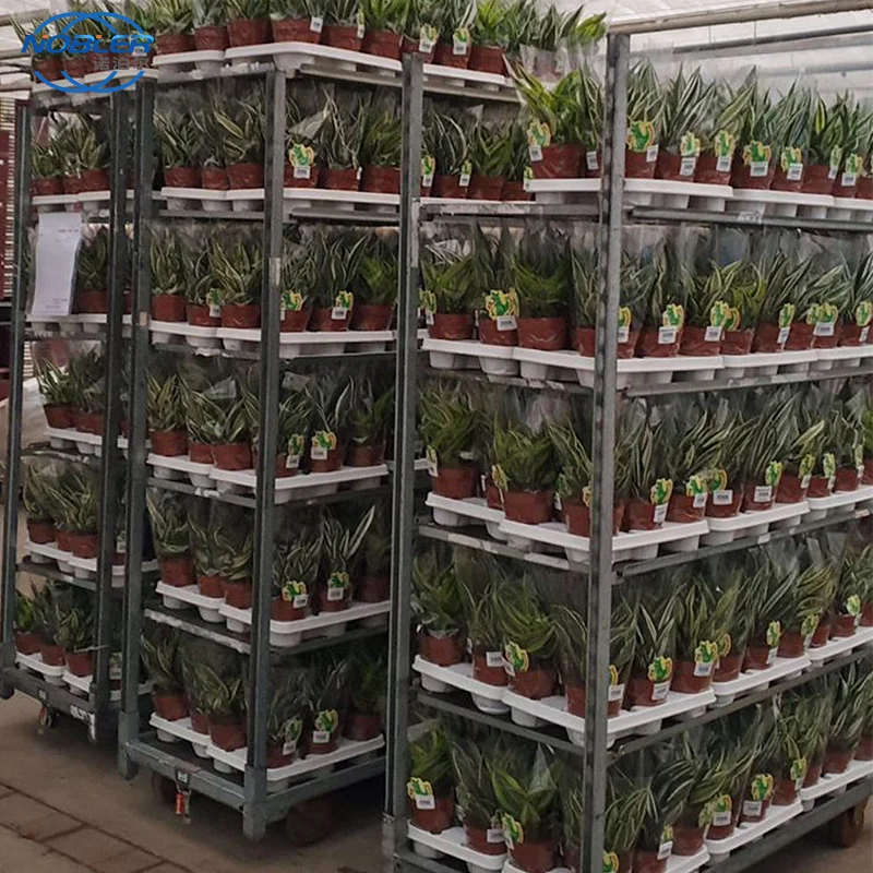 Carro danés convertible de cuatro capas Carro contenedor de plantas daneses Carro danés