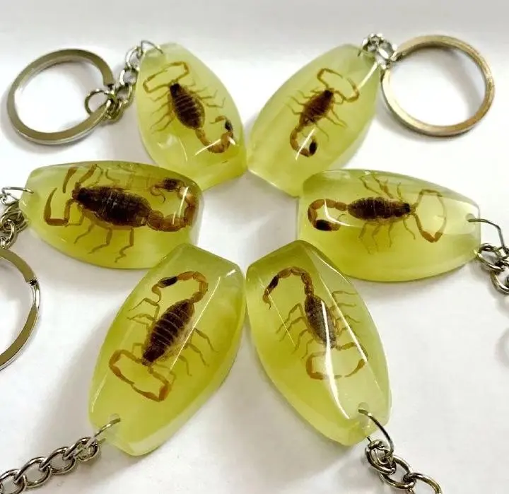 15 pcs keychain real gold color scorpion design cool jewelry newest key ring Specimen Crafts