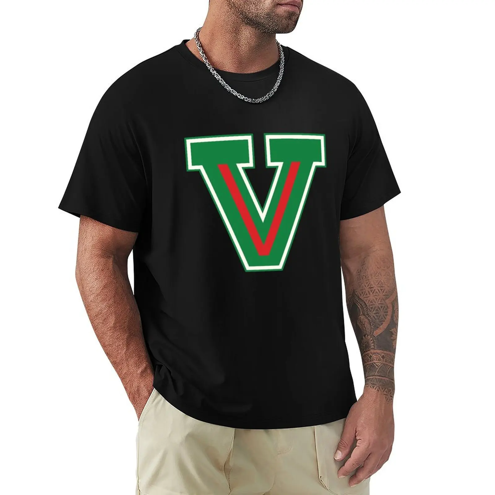 Fresno State Valley V T-Shirt man t shirts high quality luxury brand T-Shirt