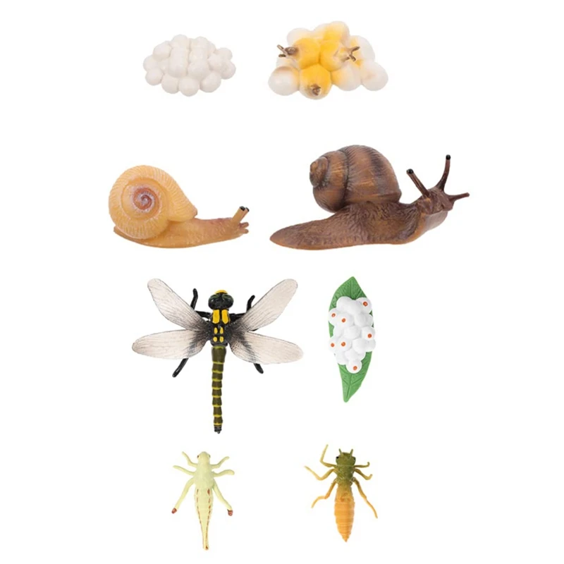 8Pcs Life Cycle Of Snail Dragonfly Animal Figurines Growth Model Forest Animal Figures Educational Toys