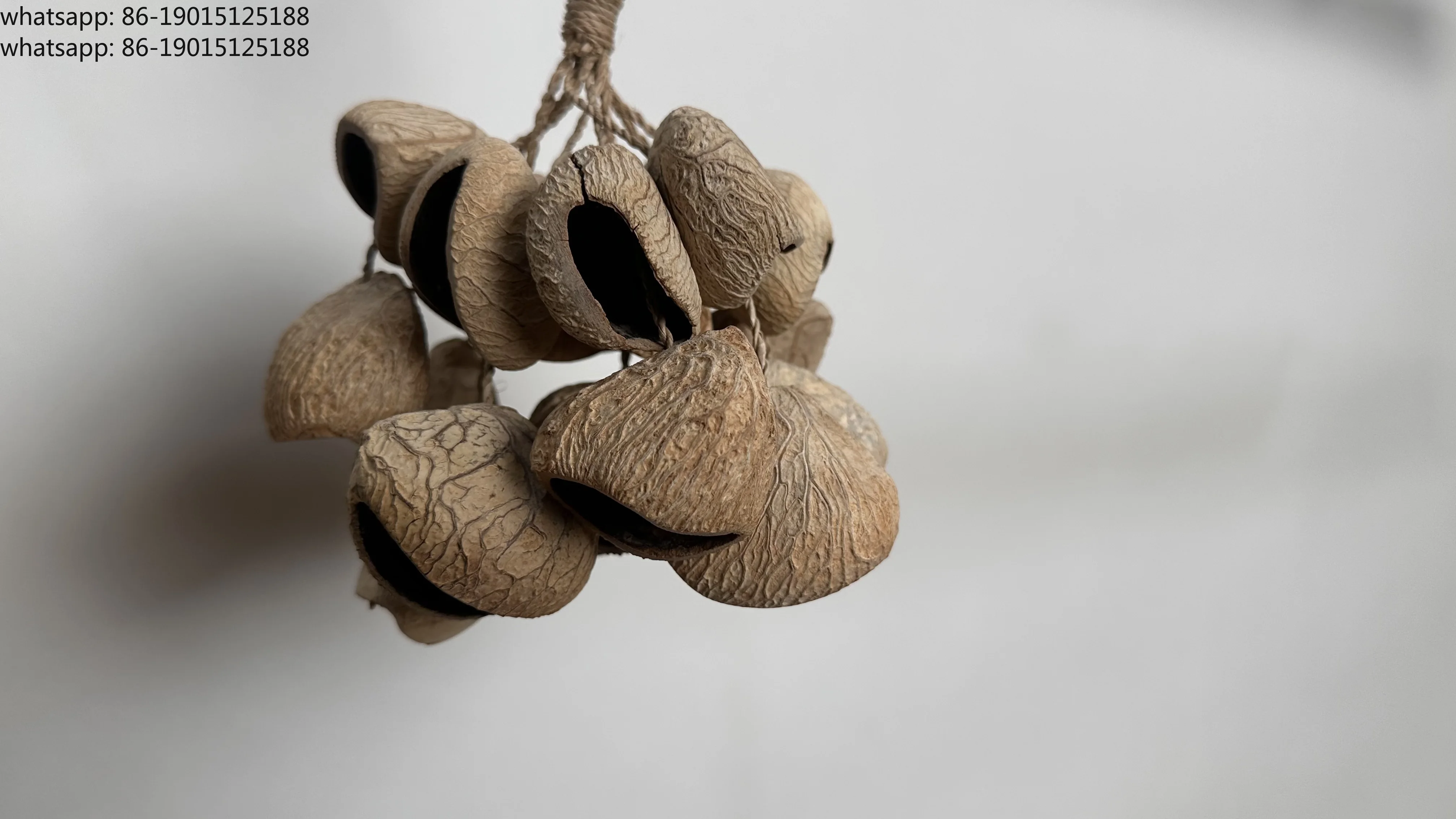 Natural Seed Pod Rattle Handbells | Hand Crank Percussion Accessories | Sound Therapy, Yoga, Folk Music Handmade Instruments