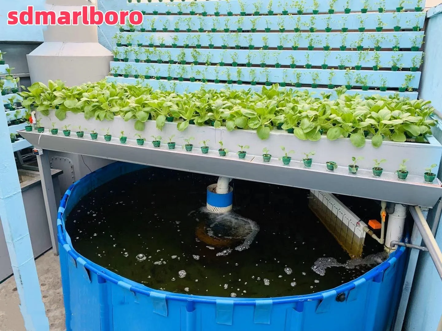 AIROW Aquaponics Complete Growing System Typical Engineering Fish Farming Pond Tank Breeding Pools