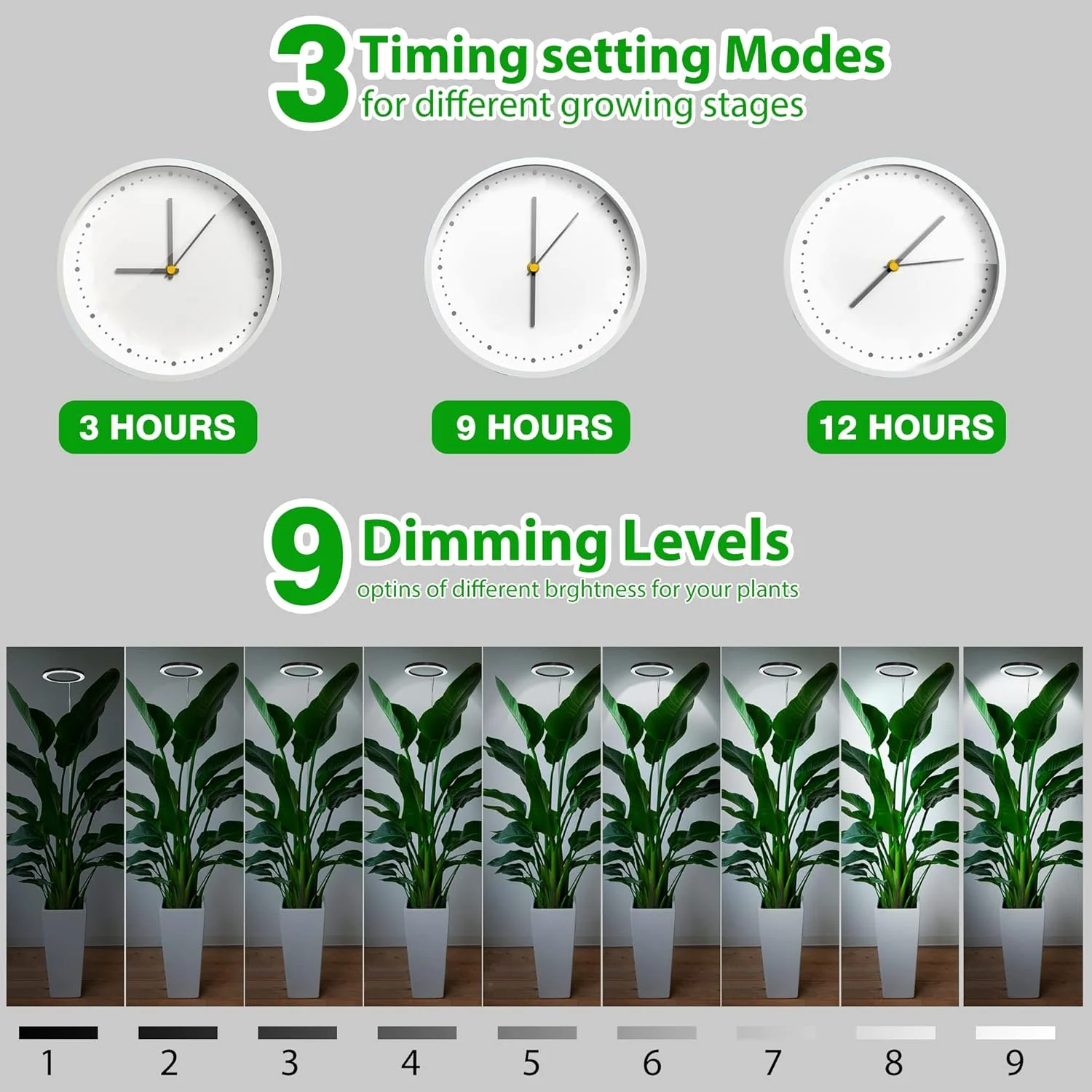 2 قطعة أضواء LED تنمو للنباتات الداخلية الطيف الكامل أحمر أزرق أبيض الطابق تنمو مصباح مع مؤقت 3/9/12H مع وحدة تحكم #3