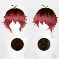 Anime Stark Cosplay Wig Anime 30cm Short Heat Resistant Synthetic Hair Party Wigs