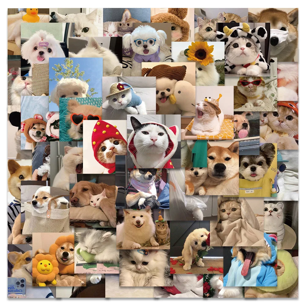 10/30/50/100pcs Kawaii Animale Gatto Cane Meme Adesivi Cute Pet Gattino Cucciolo Adesivo Del Fumetto di Skateboard Diario Del Telefono Graffiti Decalcomanie