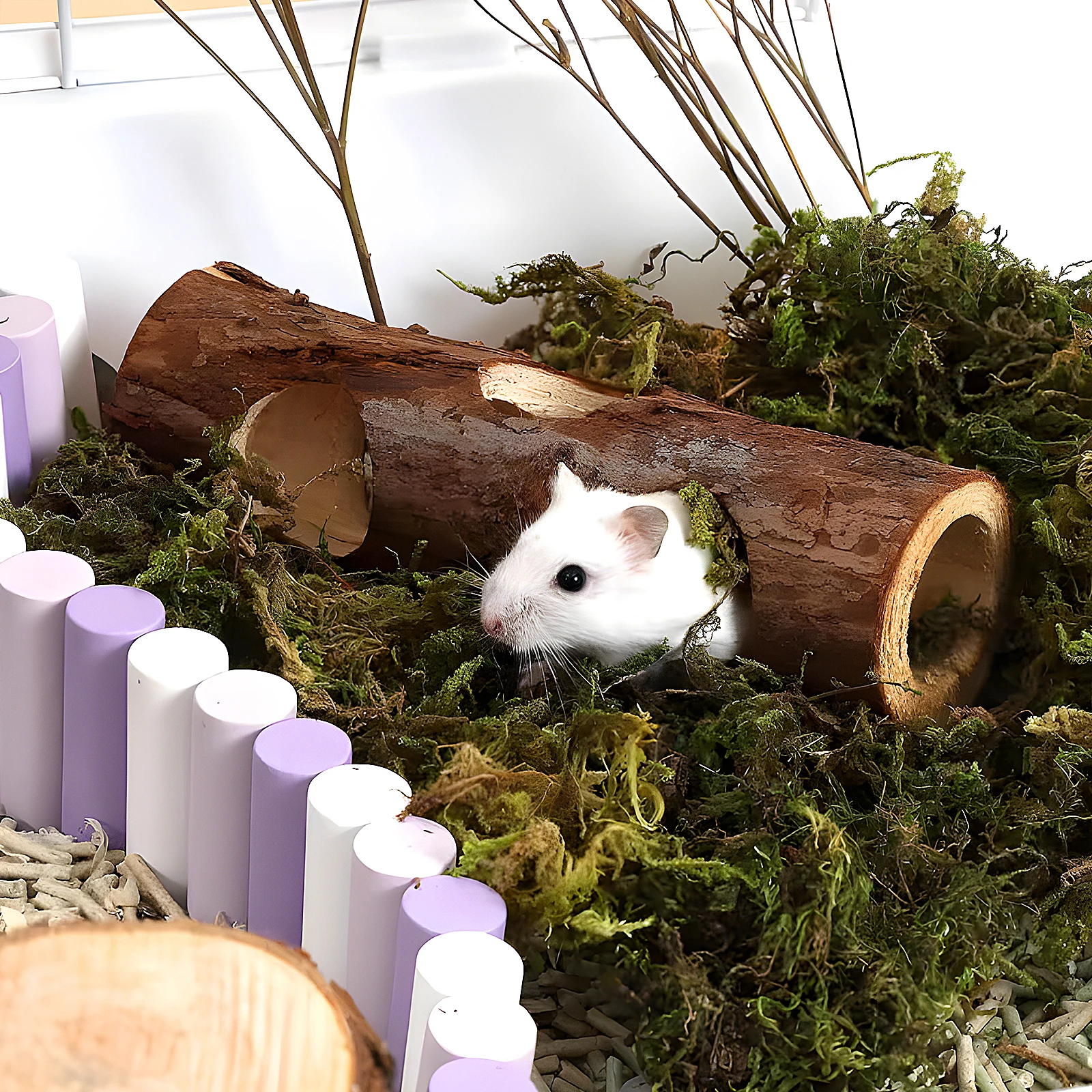 Wolinpet Natural Wooden Hamster Mouse Tunnel Tube Toy Forest Hollow Tree Trunk