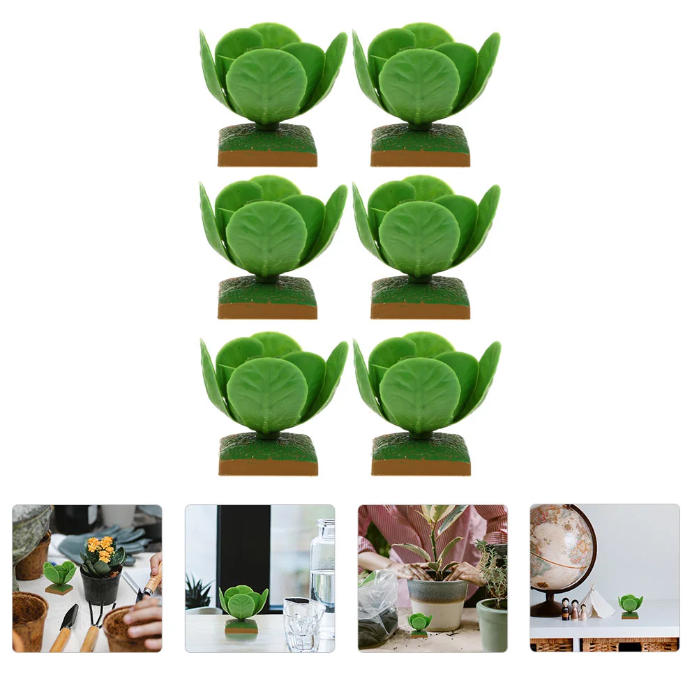 

6 Pcs Cabbage Model Toy House Desktop Adornments Simulation Veg Imitation Toys Vegetable Children Models Plastic