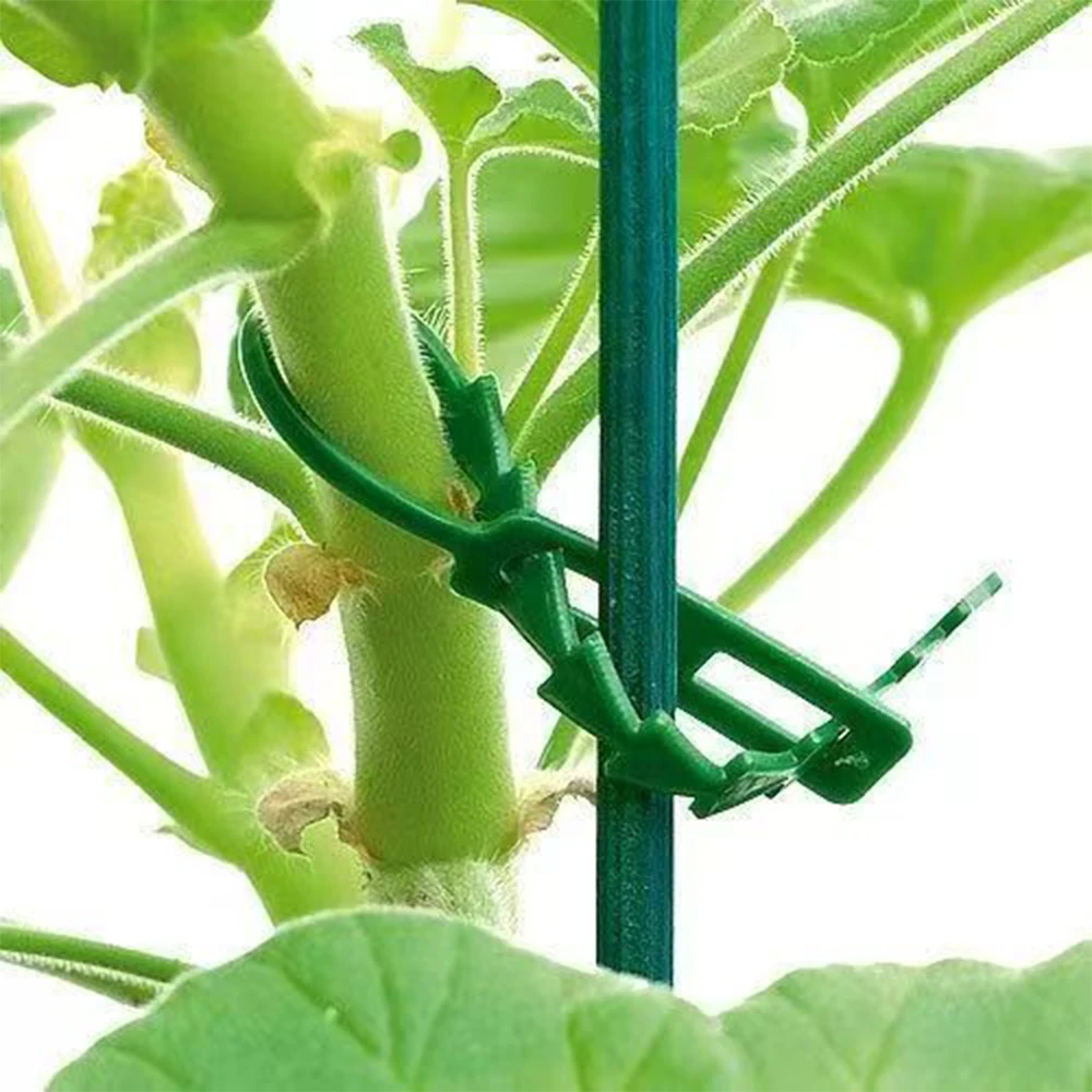 Green Reusable Plant Ties Adjustable Plastic Garden Straps for Securing Plant Stems Climbing Vines Organizing Household Cables view 6