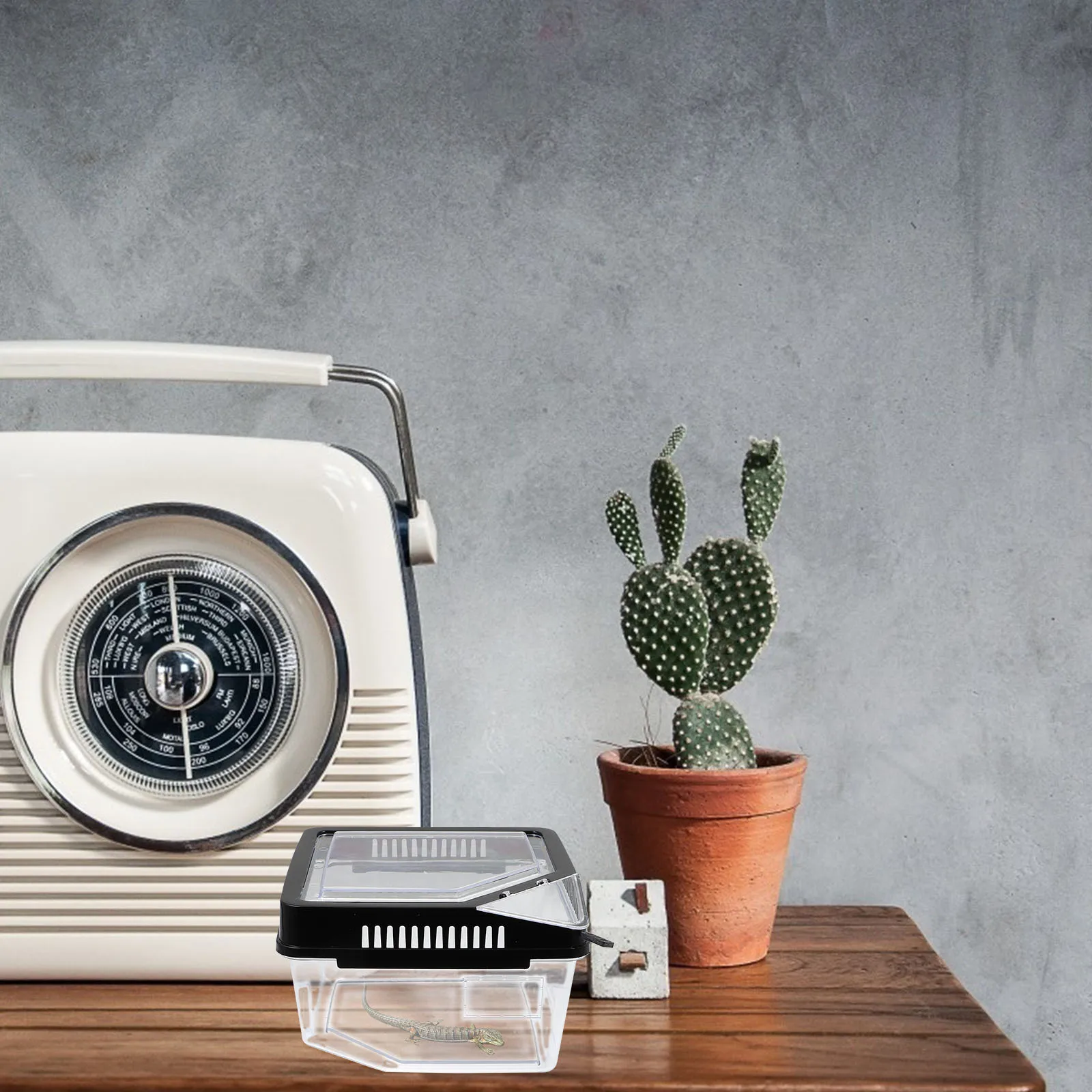 

Plastic Reptile Transparent Breeding Container For Turtle Spider Snake Scorpion Hermit Crab Reptile Feeding