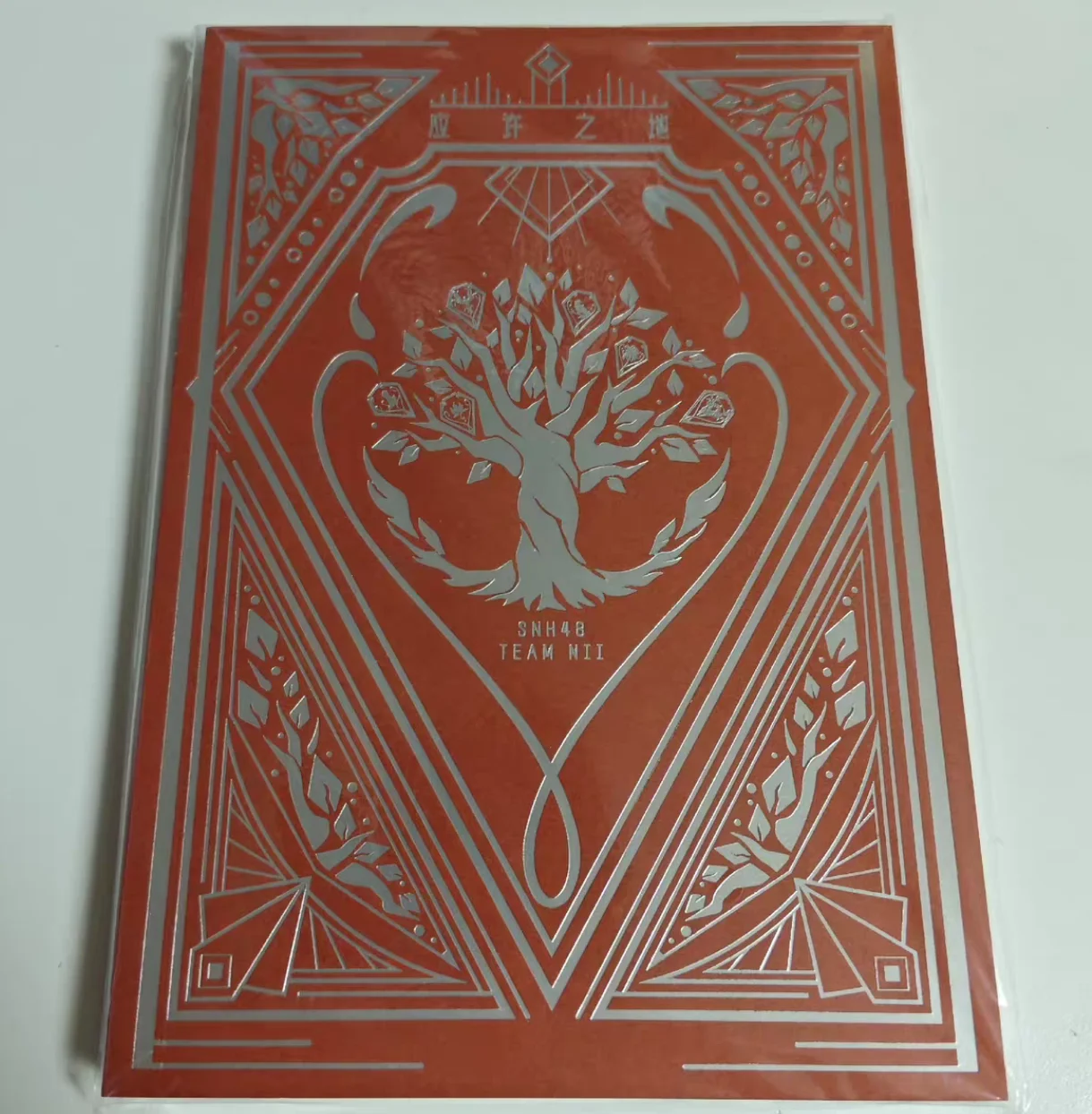 SNH48 Team NII fotolibro merce originale ufficiale