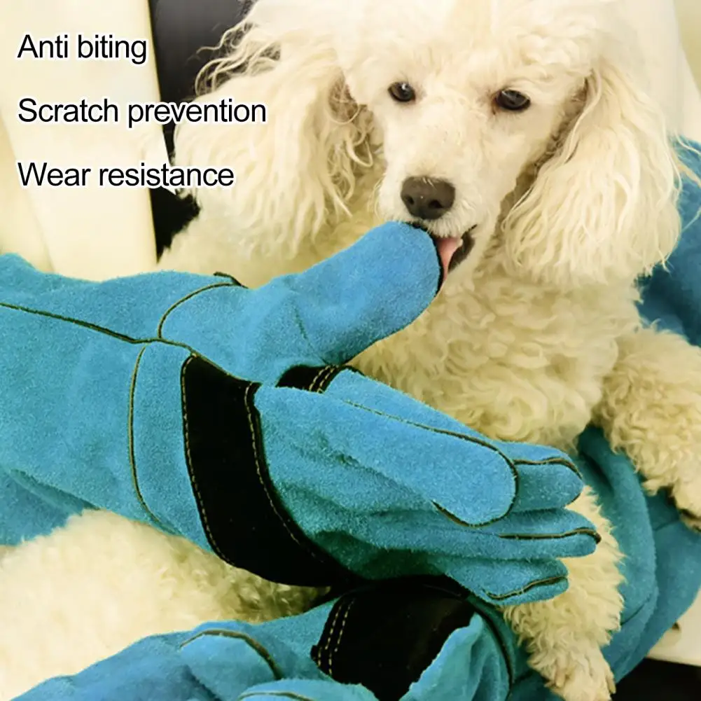 Anti-bite Gloves for Cats Chinchilla Bite-proof Gloves Bite-resistant Handling Gloves Thickened Long Arm for Cats for Grooming