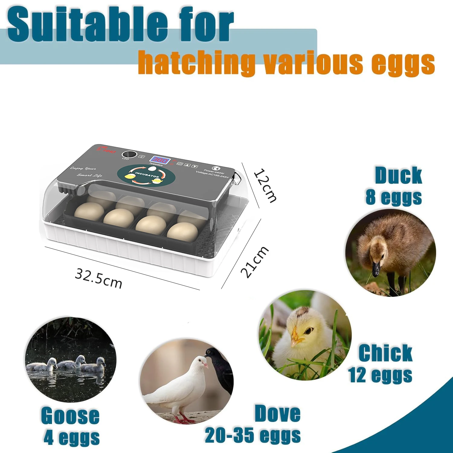 12 eggs incubators full-automatic intelligent incubator for chickens, ducks, turtles, birds and eggs Small household incubator