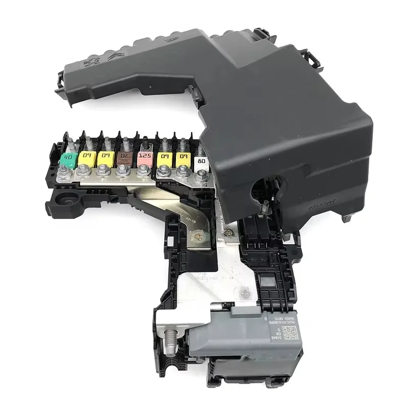 DS5 DS6 OE 9815189480 9665878080 Control Module Unit Battery Manager BPGA