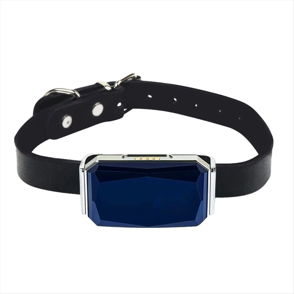 DT81 Multifunctional Pet Smart G12 Mini Tracker Anti-Lost Collar Waterproof Locator Device for Dog Cat Pets Accessories