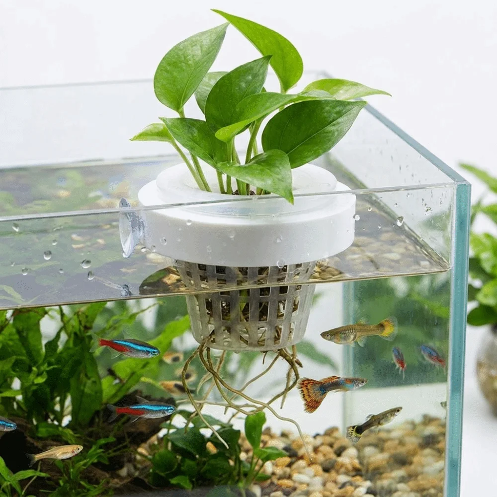 Plastic Floating Aquatic Plant Basket Round Suction Cup Hydroponic Plant Holder Root Protection Water Culture Planter