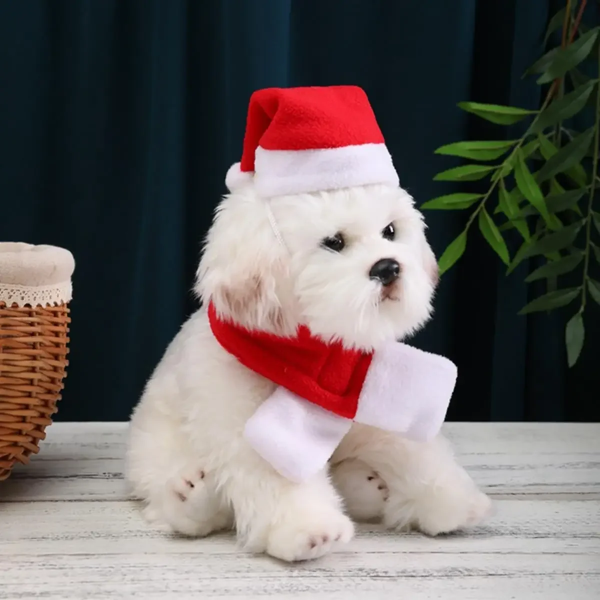Weihnachts-Weihnachtsmütze und Schal, Haustierkostüm für kleine Hunde und Katzen, Urlaubsparty, Kostümzubehör und Zubehör