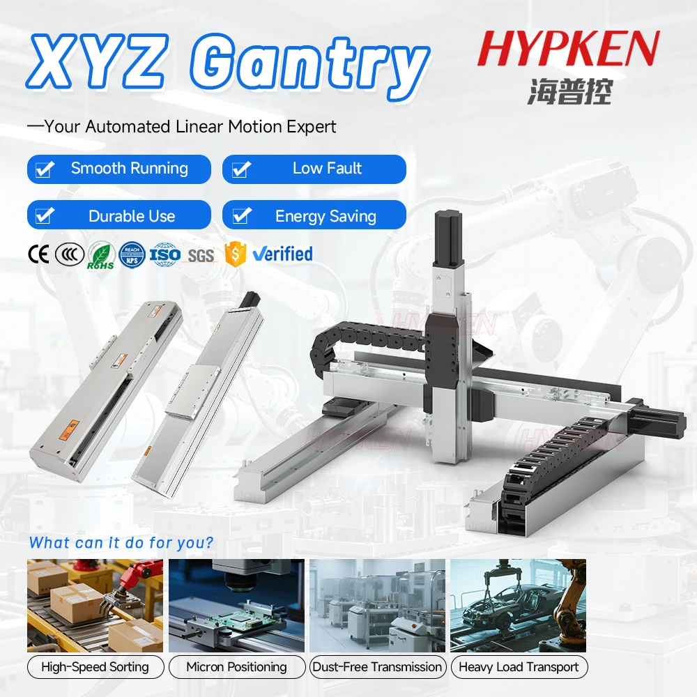 Customized 3-axis  Linear Stage Gantry Robot With CNC Linear Guideway Stainless Steel PLC Motor & Gear Components
