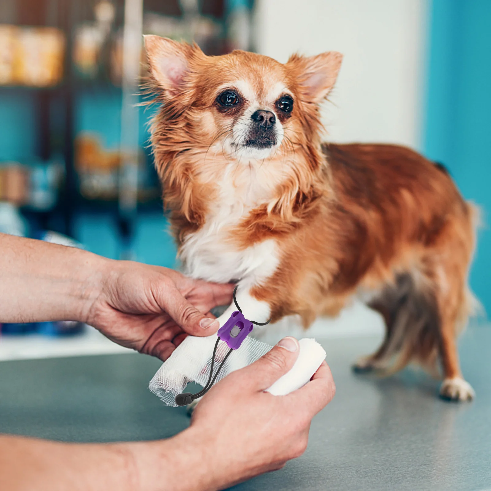 4 pces torniquete médico hemodiálise emergência paciente pet ataduras torniquetes hospitalar cinta