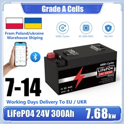 LiFePO4 Аккумулятор 24 В 300 Ач 200 Ач 100 Ач Buletooth BMS 12,8 В 25,6 В 6000+ циклов класса А для лодки на колесах Солнечная доставка ЕС UKR