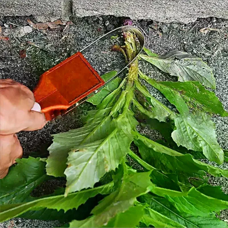 Hand Loop Weeder Tool - Iron Loop Design With Sharp Blades - Manual Weeders Tool For Weeding, Loosening Garden