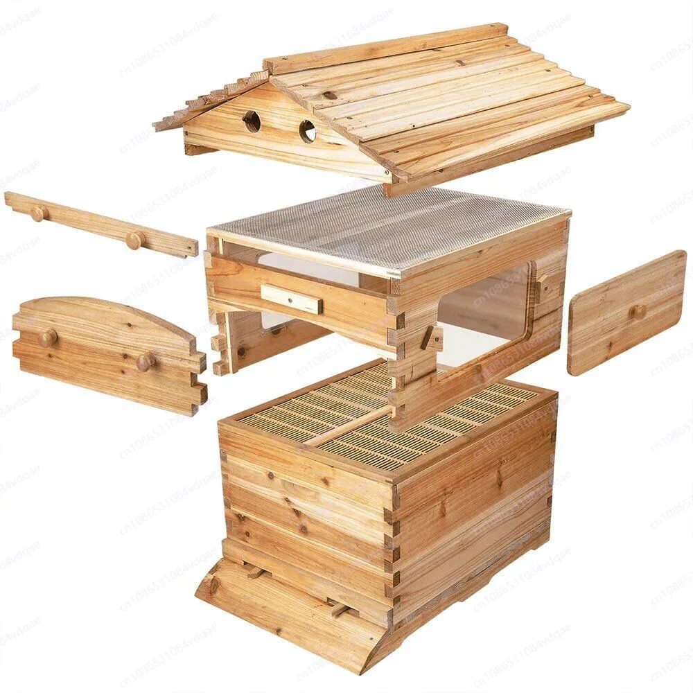Sweet and high-yield frameless beehive | 7 Spleen whole spleen automatic honey flow design