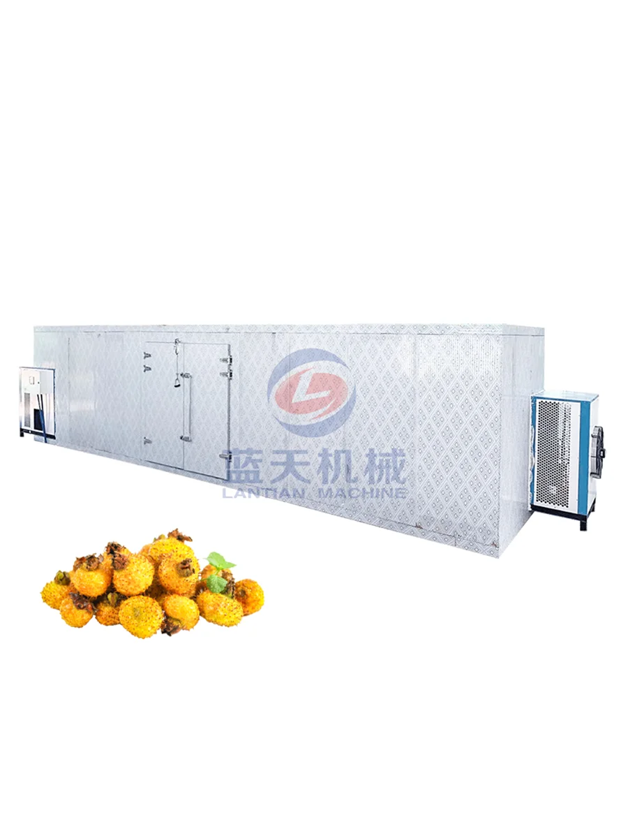 High Performance And Large Capacity Fruits Apple Orange Tomato Melon Mango Pitaya Drying Equipment