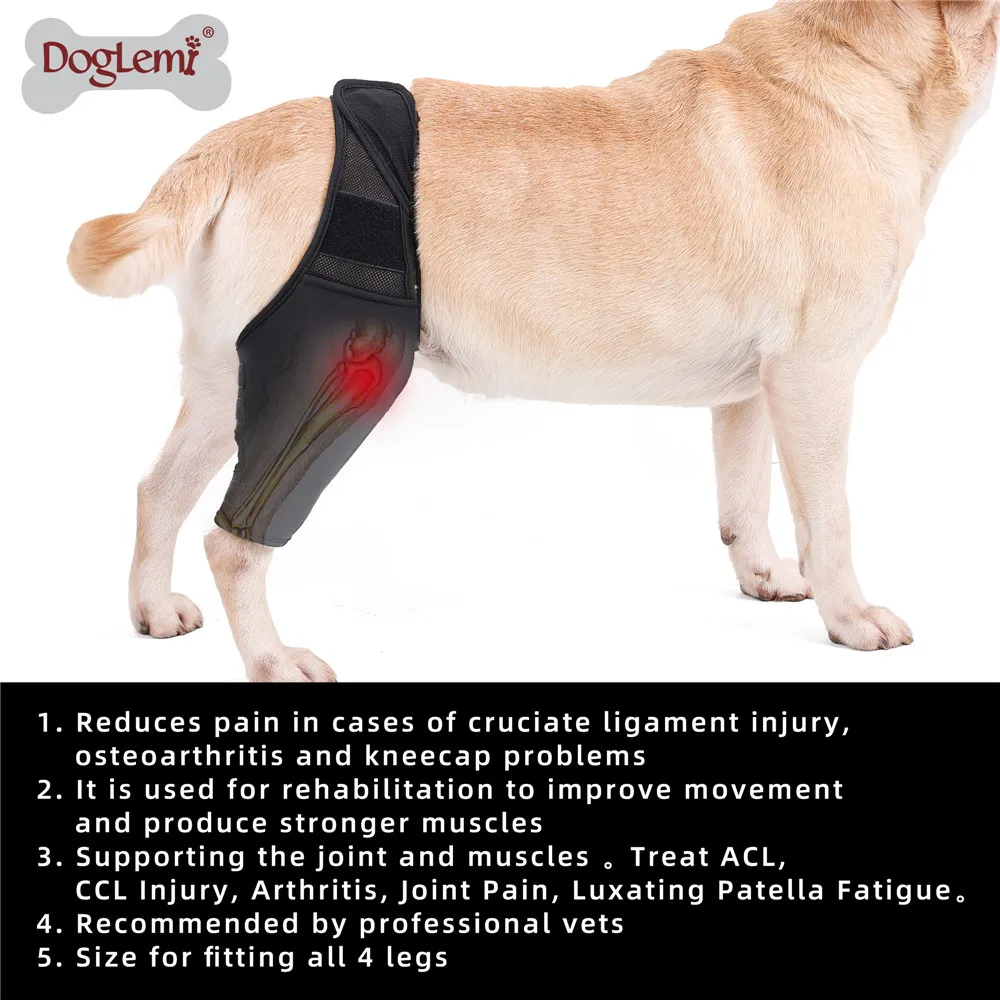 Dog Knee Pads  Injury Recovery Fixed Support Brace  Pet Protector Pain Relief Feet Cover  Leg Joint Wrap Support Pet Recover