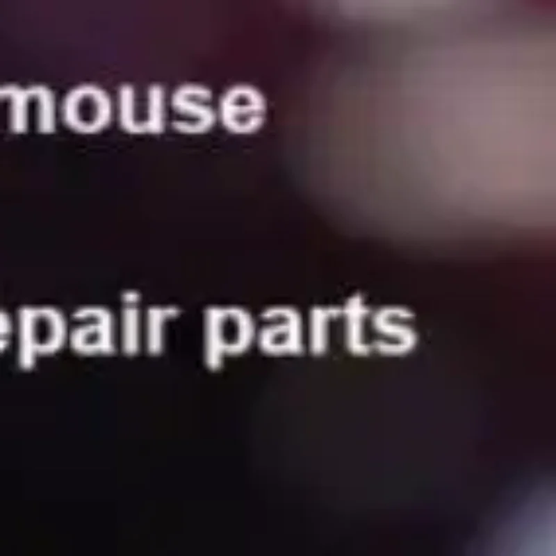 Micros USB To Type C Conversion Adapters for GPRO WIRELESS GProX Superlight Professional Gaming Mouse Repair Part