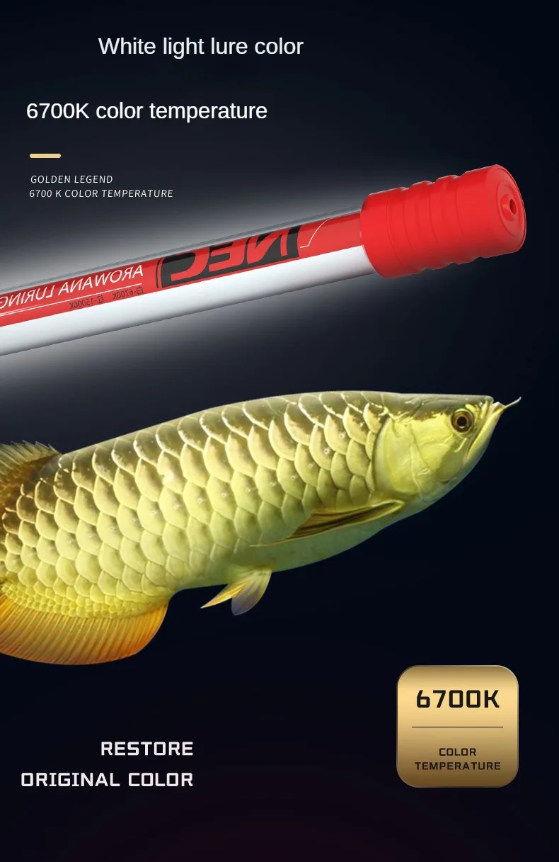 (143 LIGHT TANNING LED AROWANA ZONIC AQUA テンニング LIGHT TANNING AROWANA ピ*ト様 CM) (SUBMERSIBLE W 39 ライト・照明器具