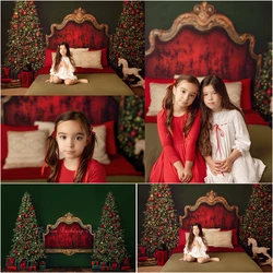 Green and Red Christmas Velvet Headboard Photo Background Royal Holiday Photo Studio Props Cake Smash Photography Backdrop Cloth