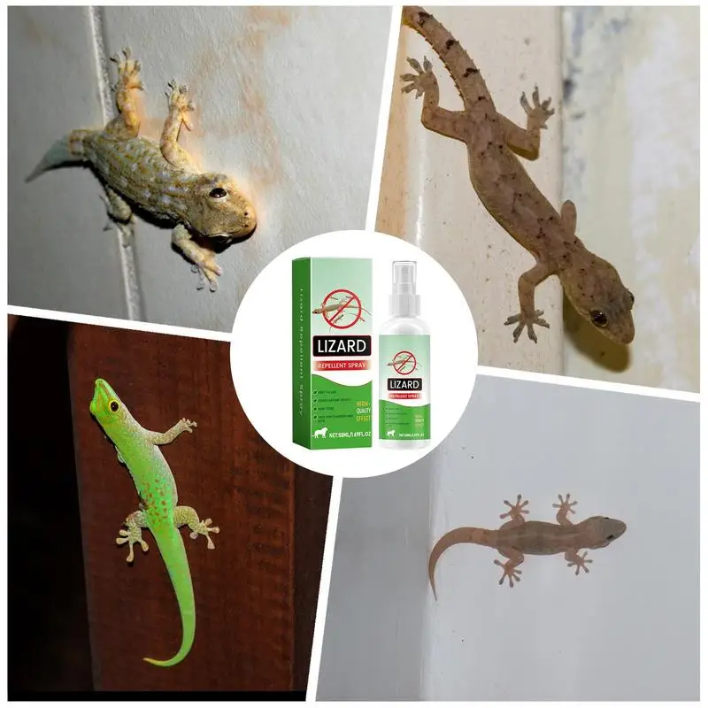 Repellents Spray Indoor Natural Lizard Repellents 50ml Lavender Oil Gecko Spray Powerful Pet Safe Reptile Deterrents Control