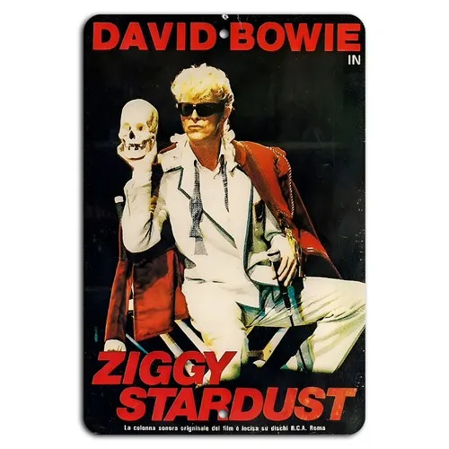 Ziggy 1970er Tour Poster Metallschild aus Aluminium
