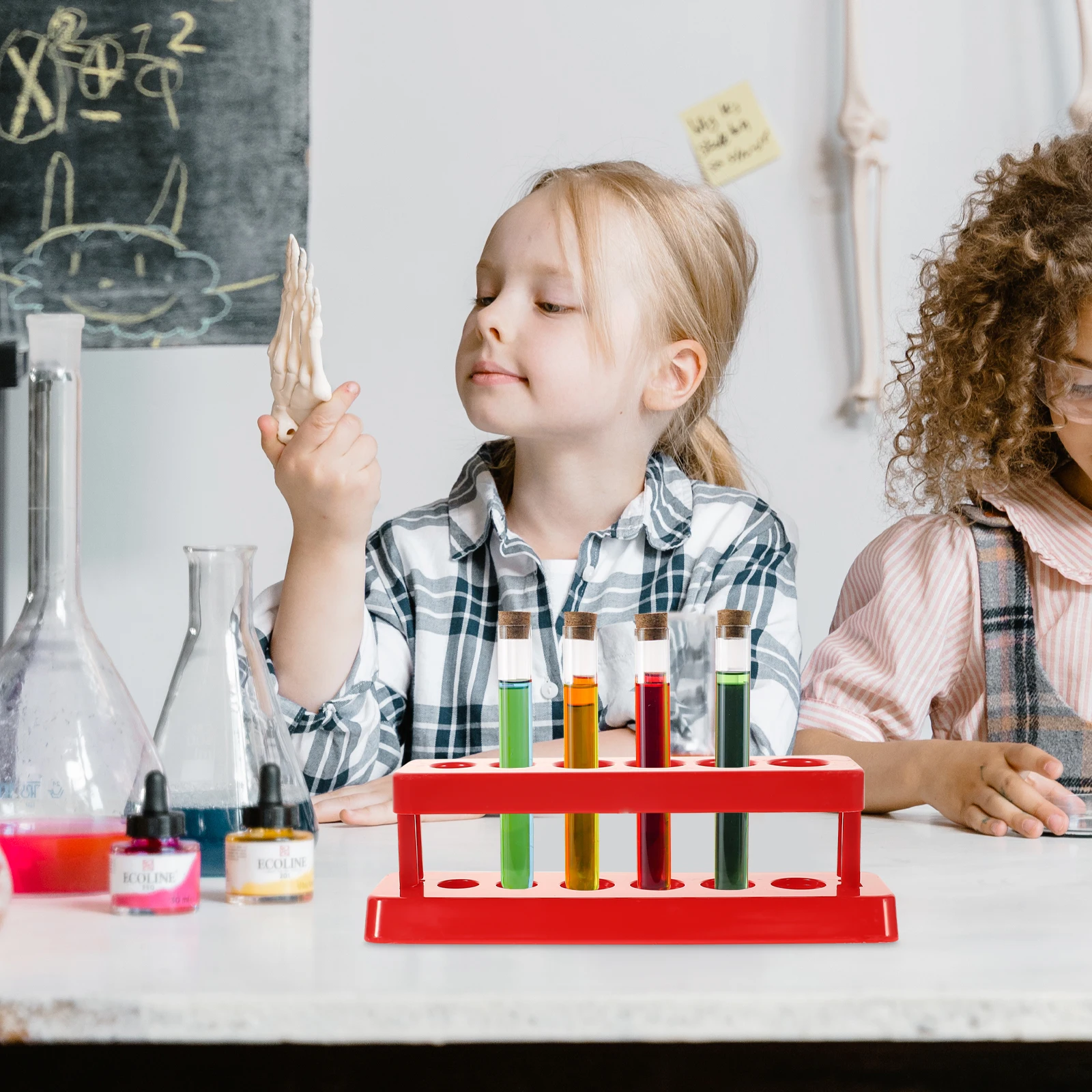 

3 pcs Test Tube Rack Plastic 6 Holes Toddler Science Lab Equipment Lightweight Portable Storage ganizer for Use