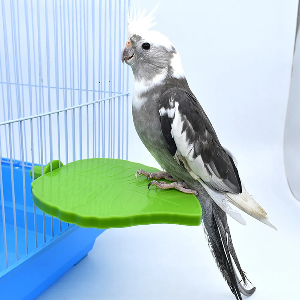 

Parrot Platform Cockatiel Stand Parakeet Cage Accessories Climbing Perch Bird Toys Exercise